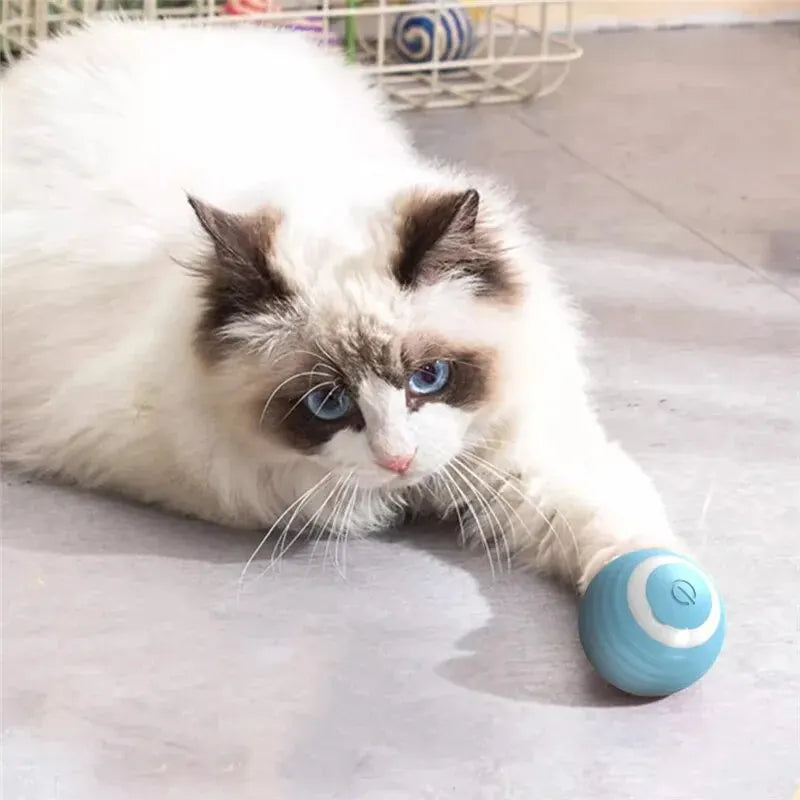 Cat Interactive Ball Training Self-moving Kitten Electric Cat Ball Toys Electronic Automatic Rolling Magic Ball Toys for Cat SuperFye Blue SuperFye