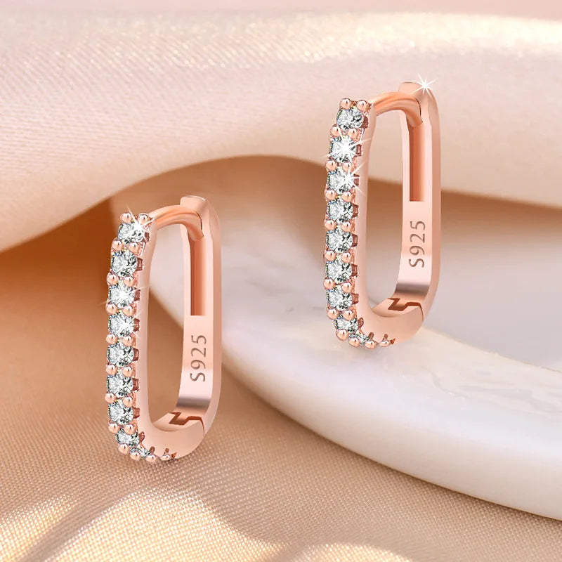 925 Sterling Silver Crystal Jewelry Fashion Zircon Circle Hoop Earrings For Woman New XY0179 SuperFye Silver SuperFye