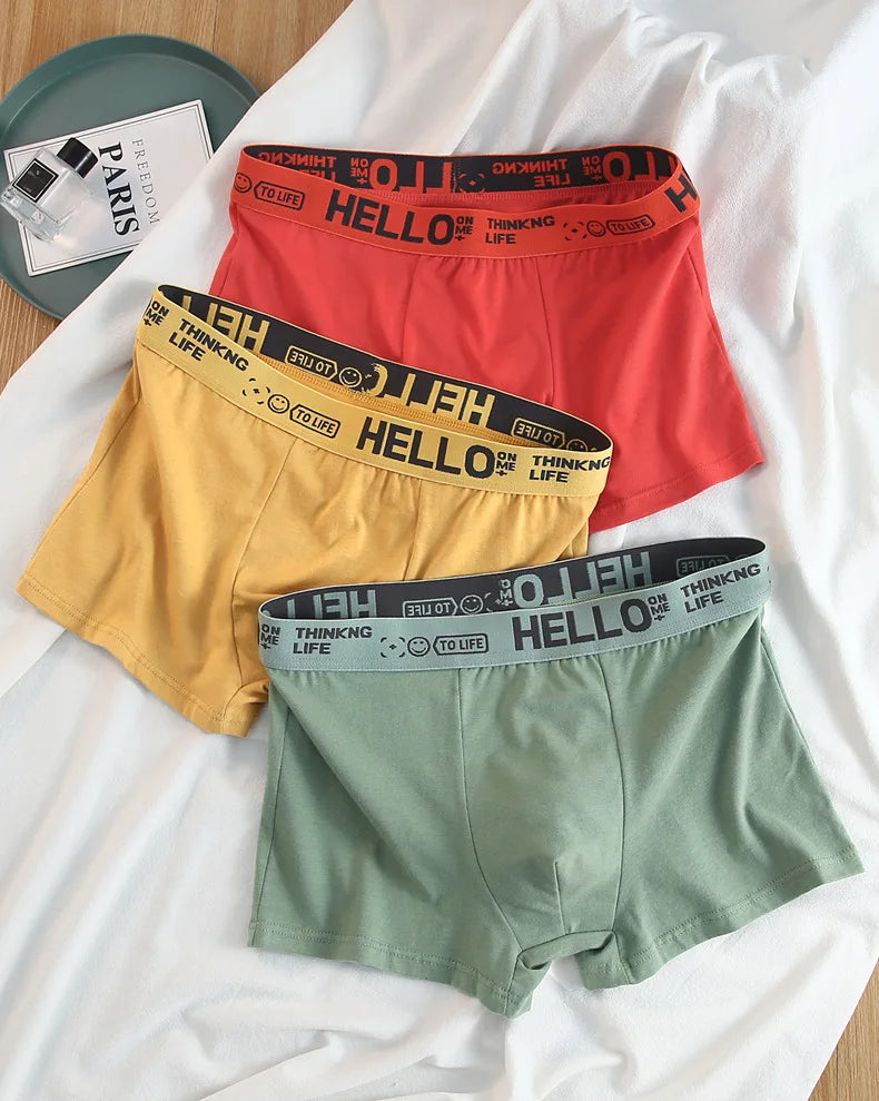 10Pcs/Men's Underwear Fashion Underwear High Stretch Boxer Shorts Breathable Soft Men's Shorts Comfortable Plus SizeL-4XL SuperFye ZC1 / XXL / 10pcs SuperFye