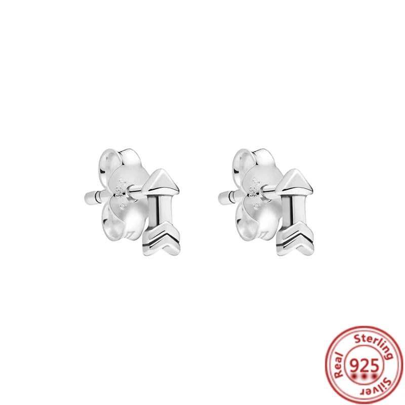 New 925 Sterling Silver Earring Feather Flowers Heart Pavé Infinite Shine Earrings Fit Original Brand Charms Jewelry Gifts Women